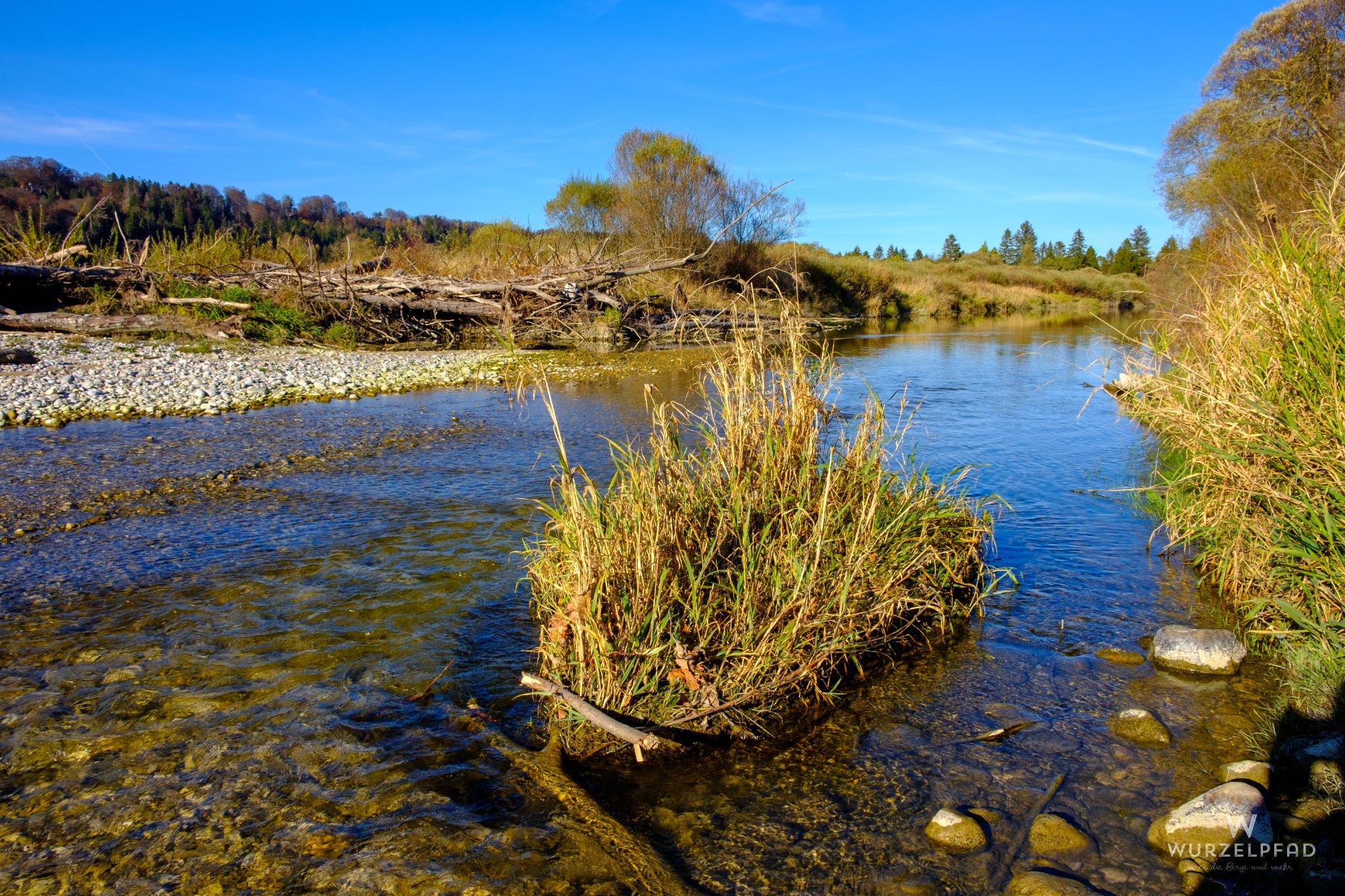 Schwemmholz zwischen den Isararmen